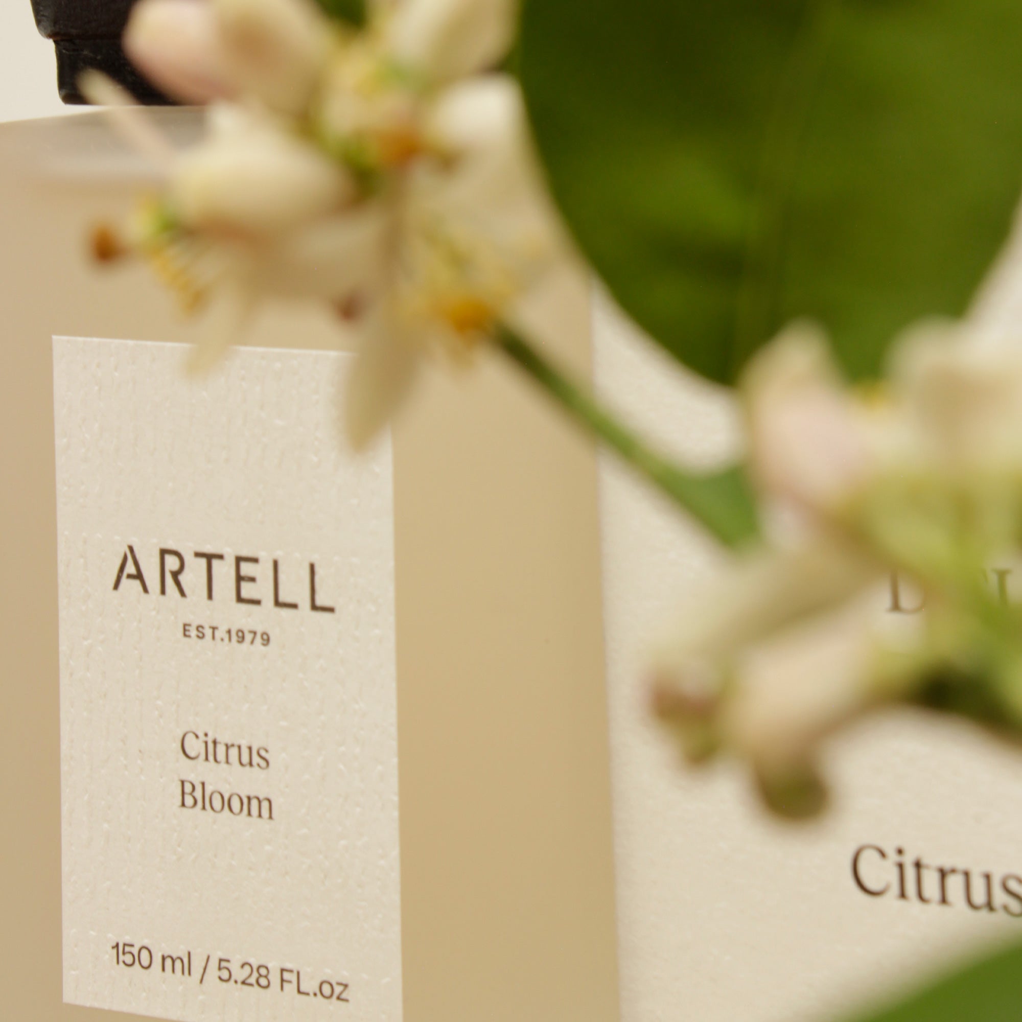 DIFUSOR DE AROMA CITRUS BLOOM - Mint & Lime