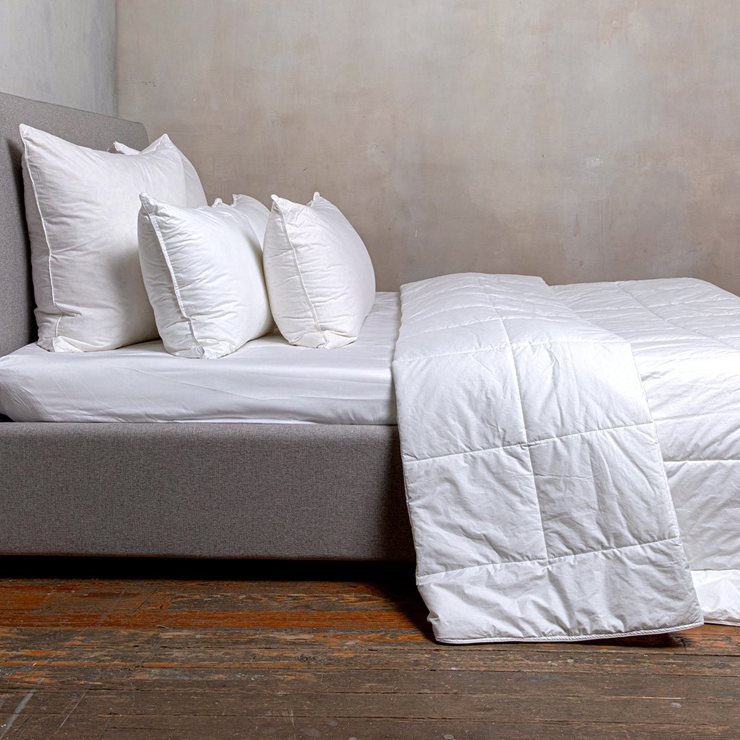 INSERTO PLUMA - Mint & Lime