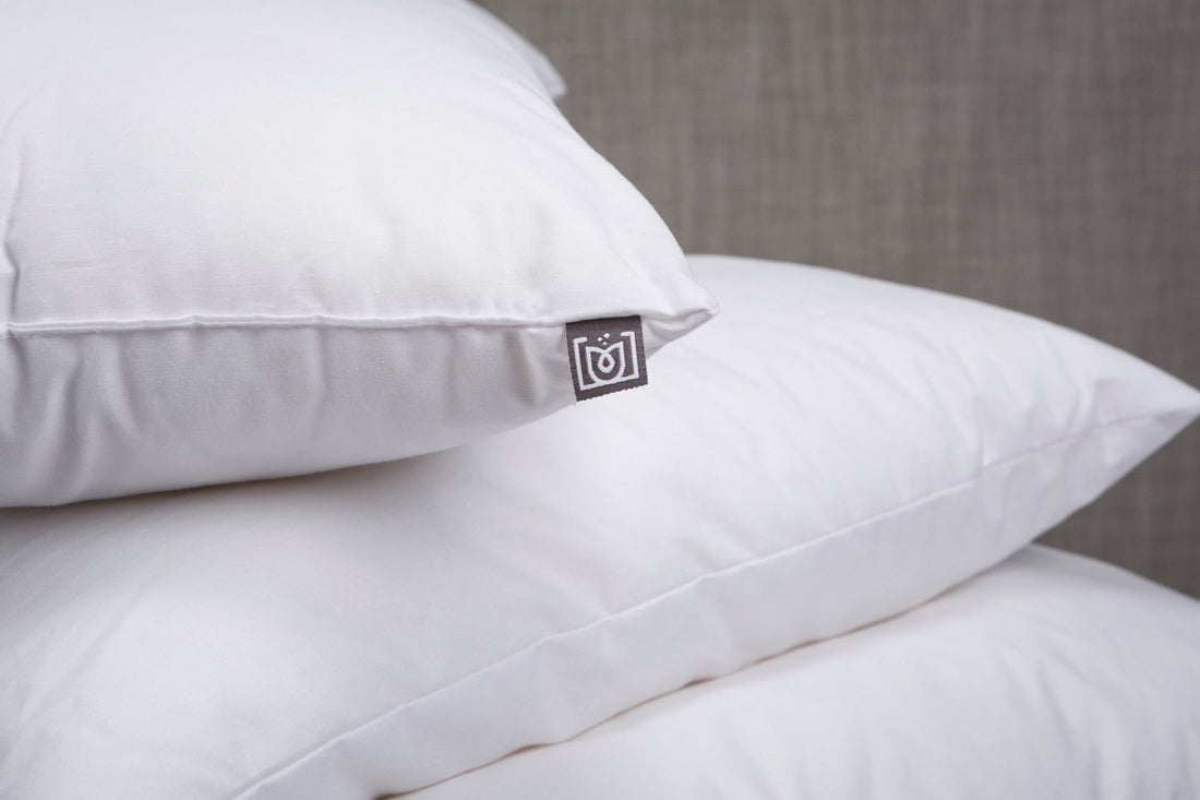 INSERTO PREMIUM - Mint & Lime